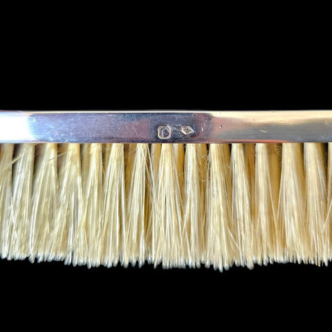 ENAMELED SILVER Antique Clothes Brush