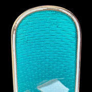 ENAMELED SILVER Antique Clothes Brush