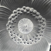 Lalique France Crystal Glass Paperweight Anemone Flower
