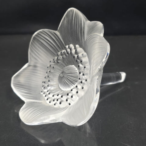 Lalique France Crystal Glass Paperweight Anemone Flower