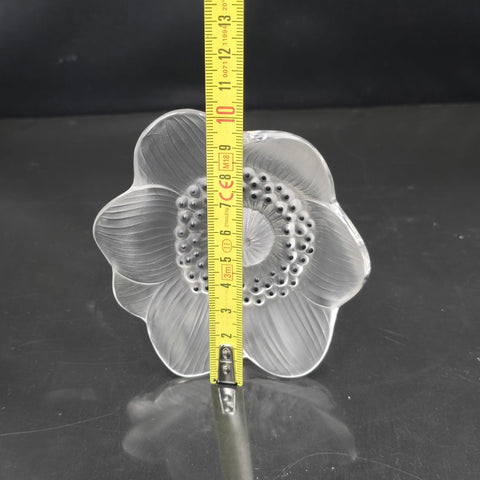 Lalique France Crystal Glass Paperweight Anemone Flower